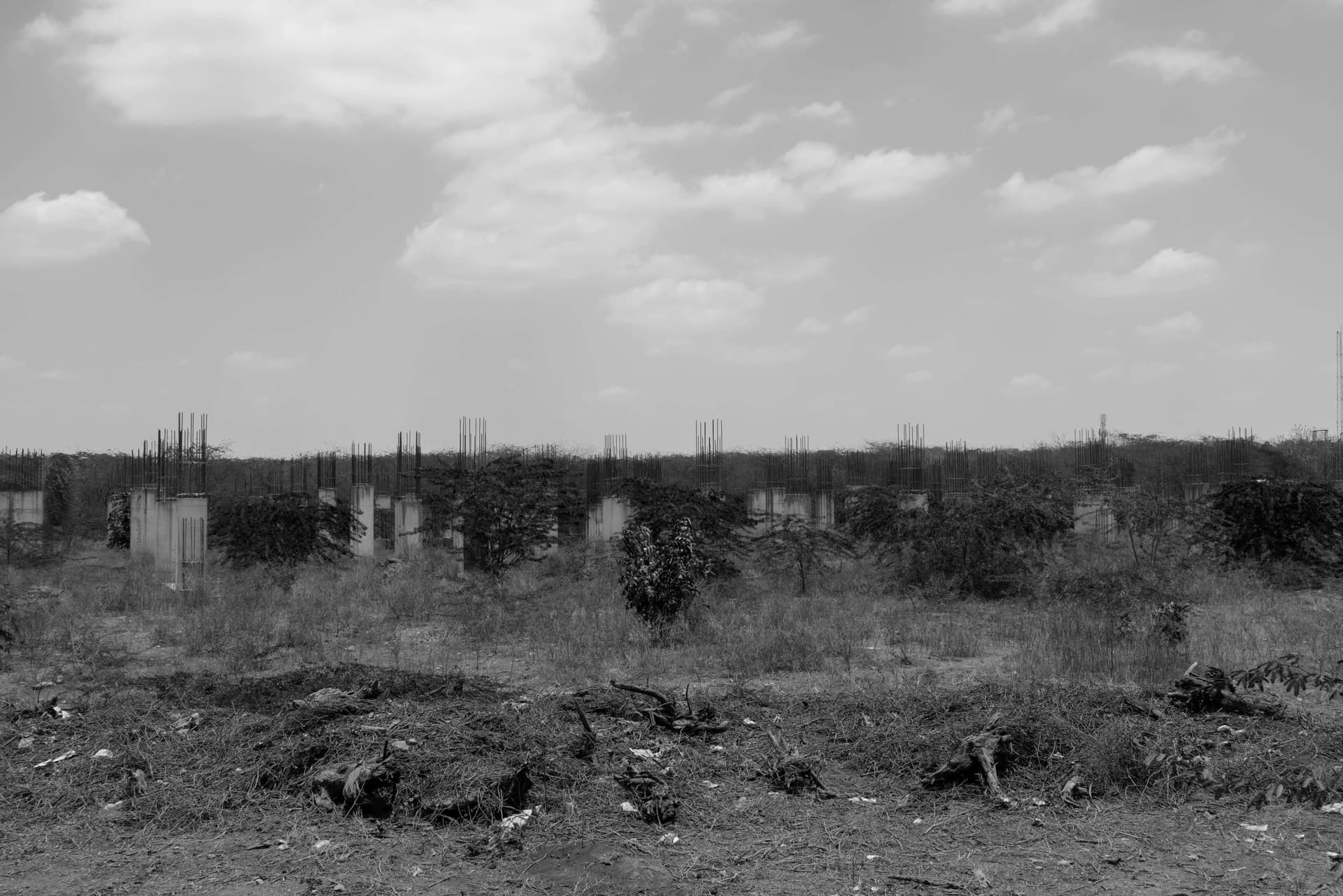 Changes — photograph 24