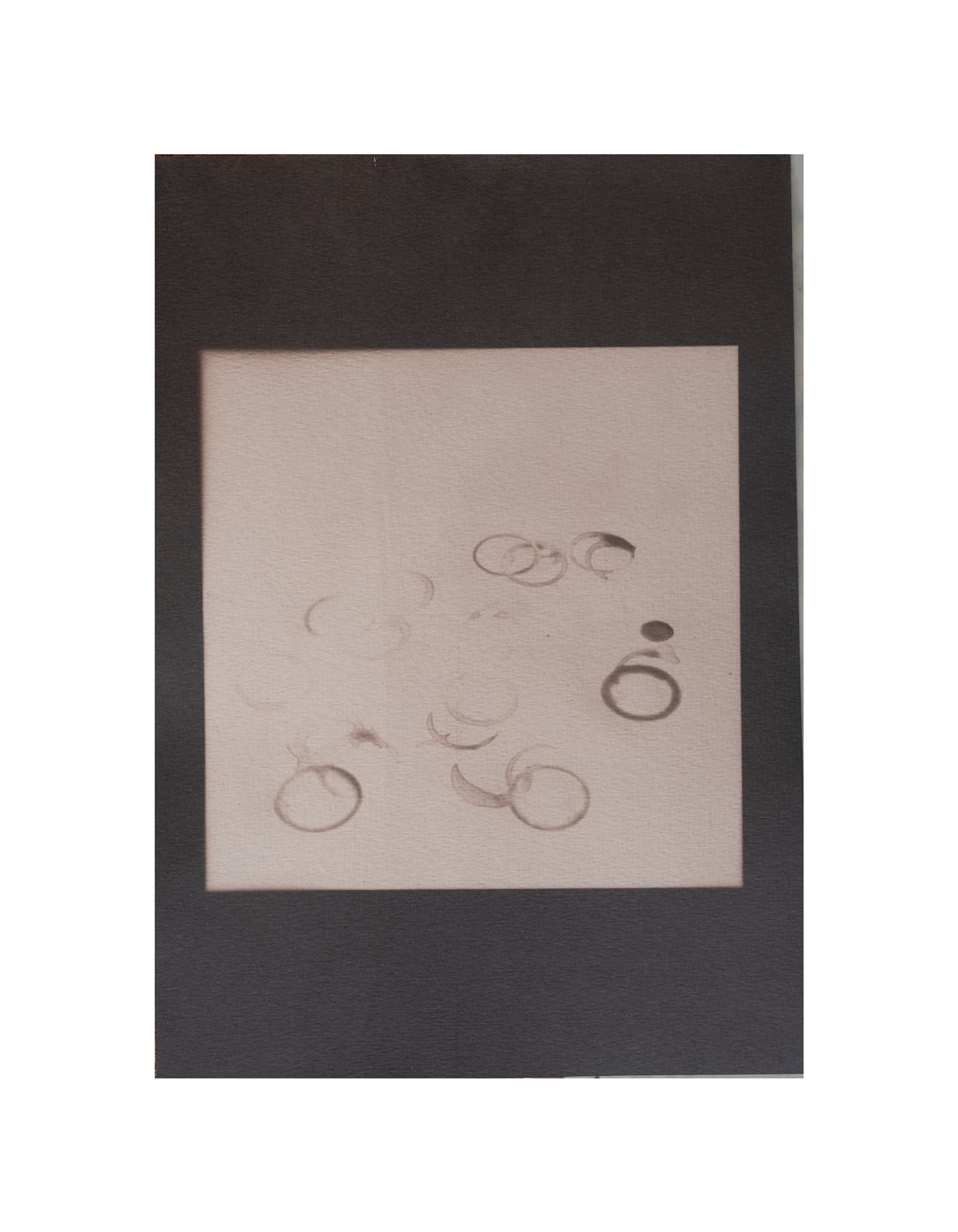Chai Infused — photograph 10