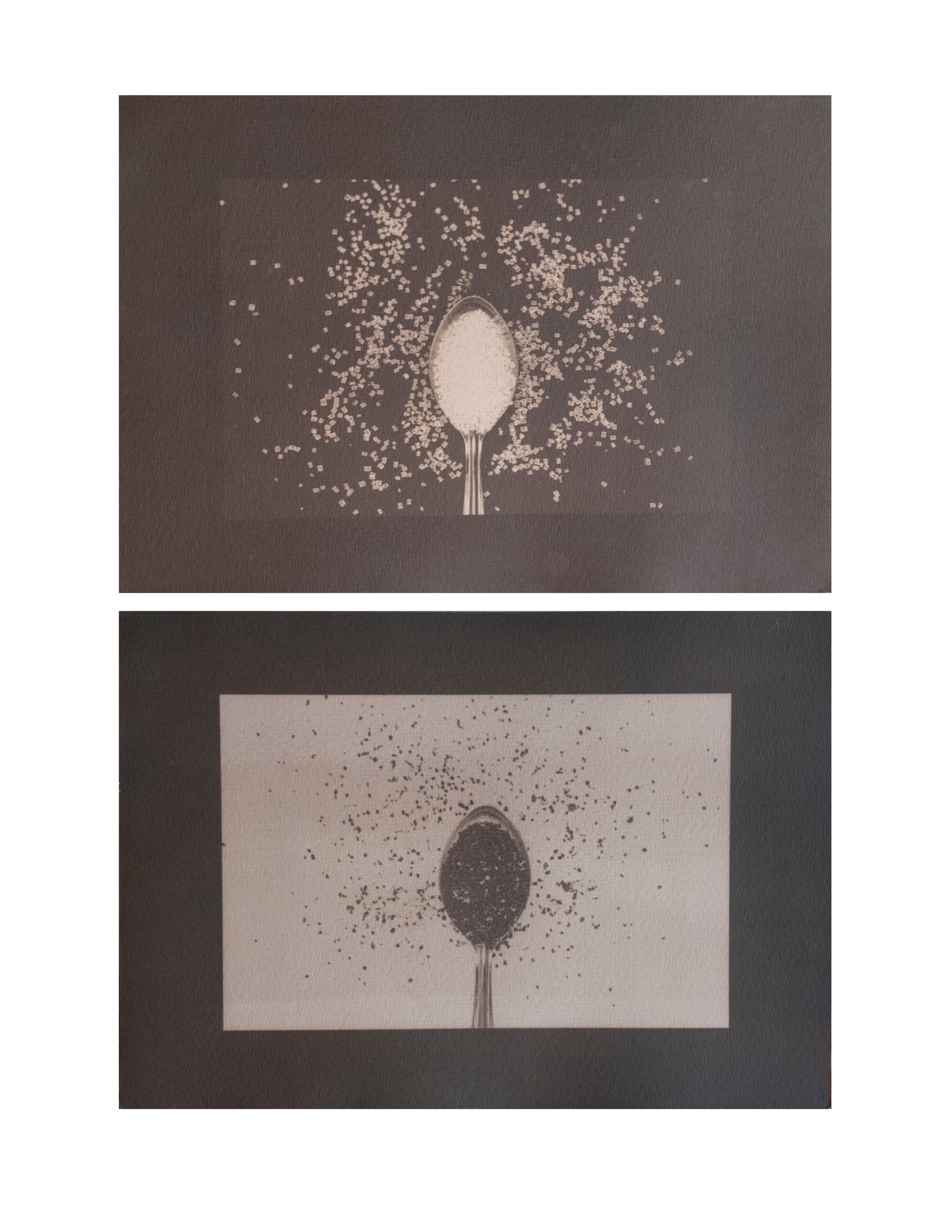 Chai Infused — photograph 3
