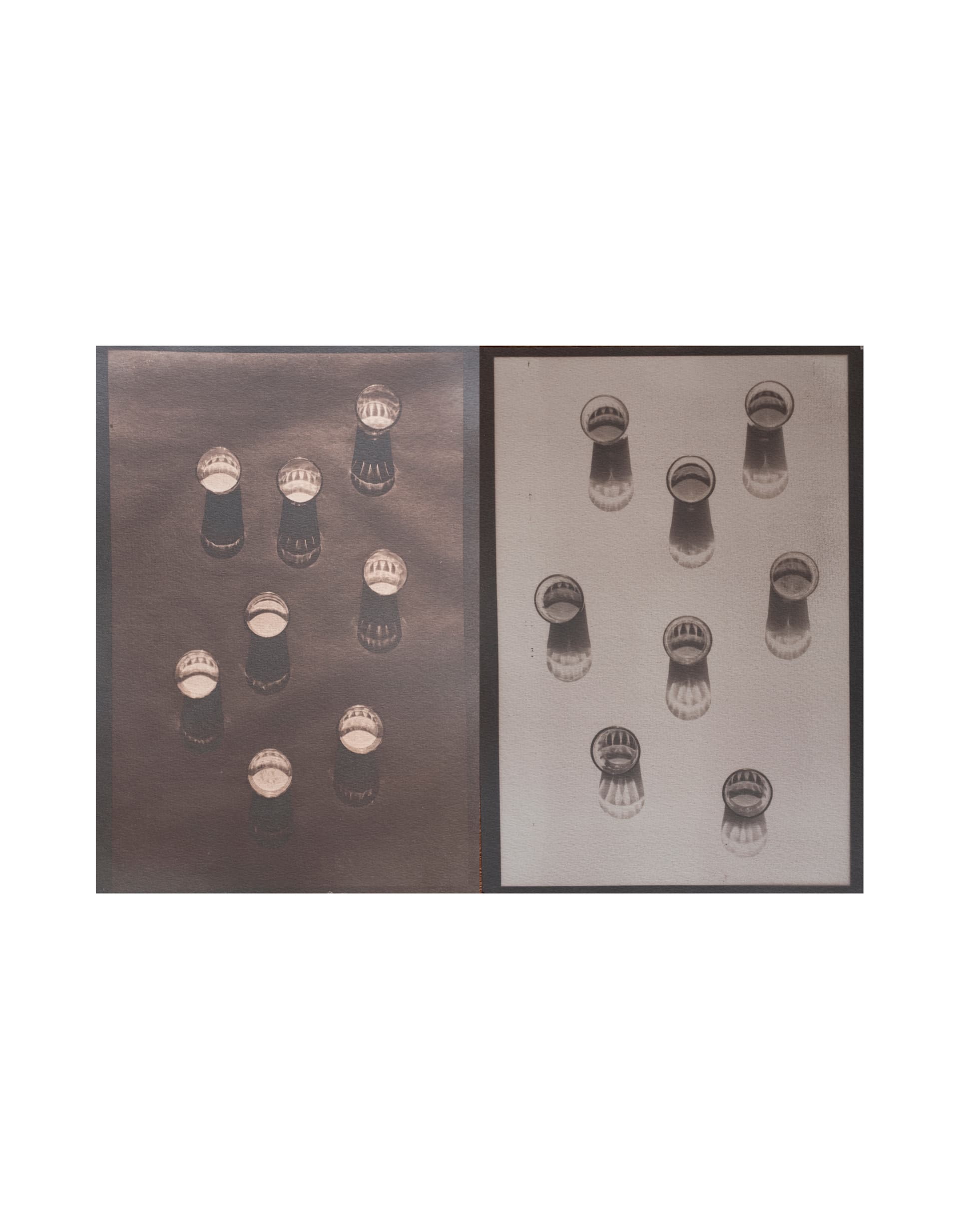 Chai Infused — photograph 7